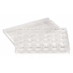 Cell Culture Plate, 24-Well, 0.57 mL, Polystyrene, RNase/DNase Free